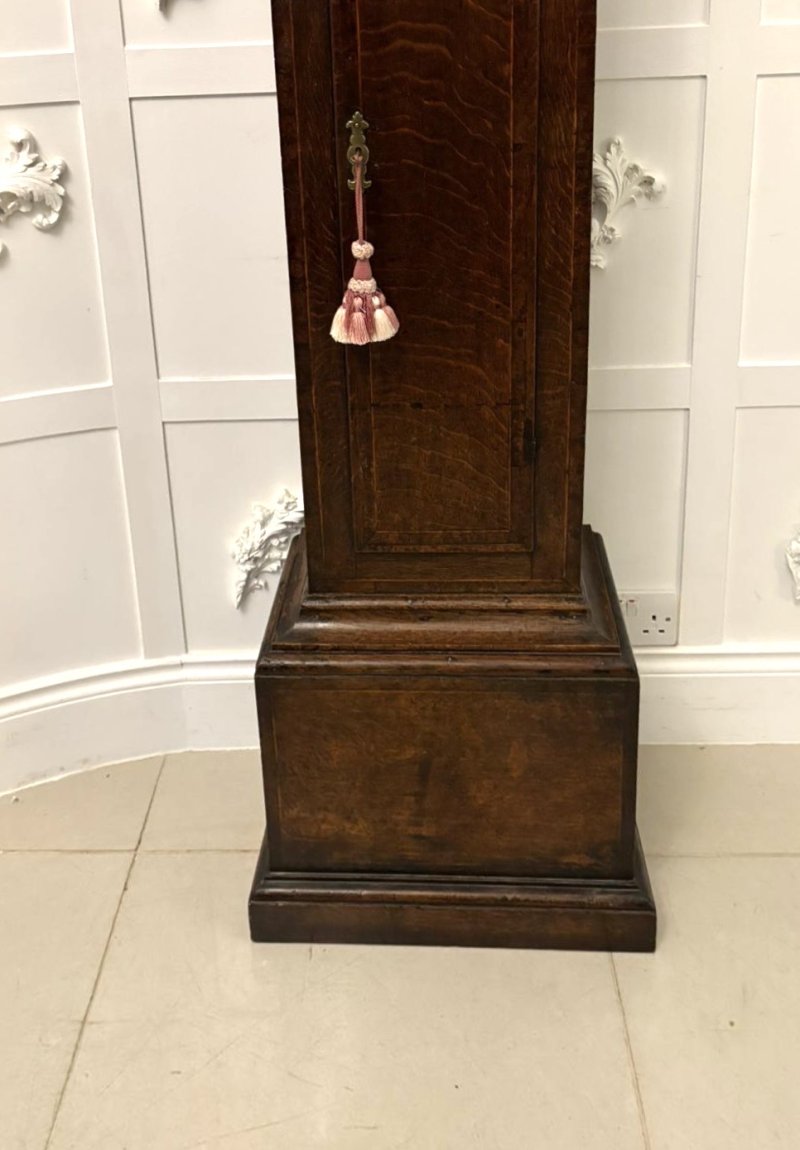 Outstanding Quality Antique George III Oak and Burr Oak Brass Face Longcase Clock - Image 6
